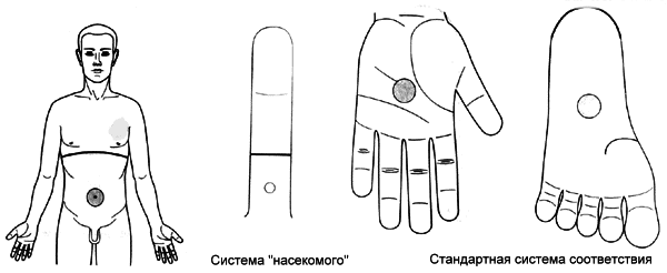 telo sugok sy dzhok 11 4