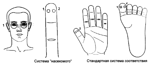 telo sugok sy dzhok 9 1