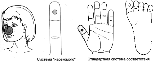 telo sugok sy dzhok 9 2