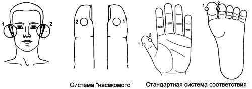 telo sugok sy dzhok 9 3